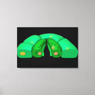 Conceptual Image Of Stomata 2 Canvas Print