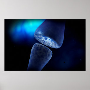 Conceptual Image Of Synapse Of Neuron Inside Poster