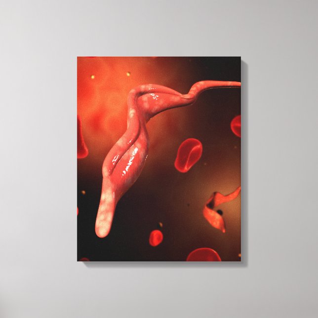 Conceptual Image Of Trypanosoma 1 Canvas Print (Front)