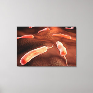 Conceptual Image Of Vibrio Cholerae 1 Canvas Print