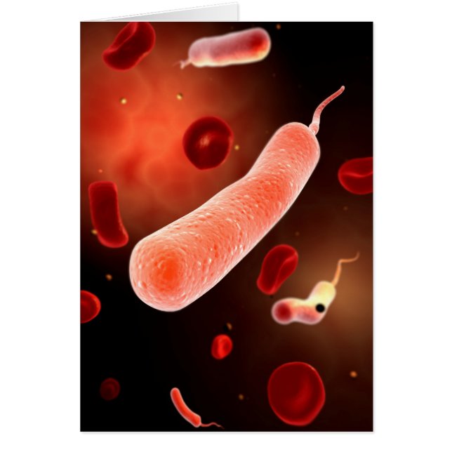 Conceptual Image Of Vibrio Cholerae 2 (Front)