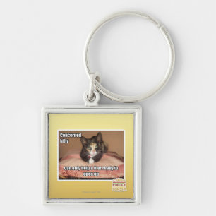 Concerned Kitty Key Ring