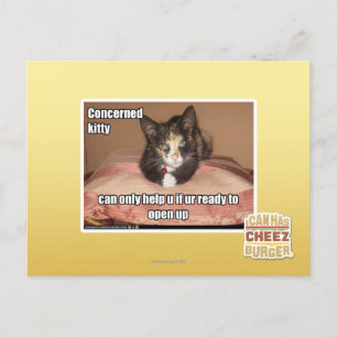 Concerned Kitty Postcard