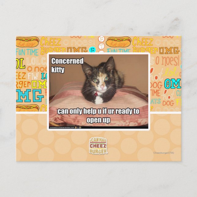 Concerned Kitty Postcard (Front)