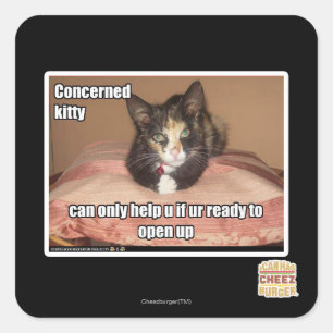 Concerned Kitty Square Sticker