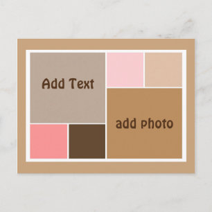 Conch Seashell Colour Blocks Postcard