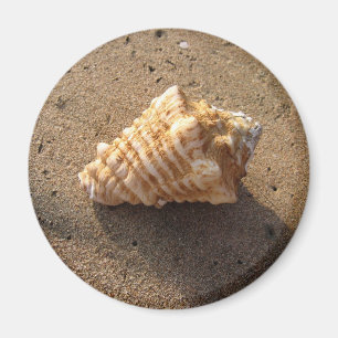 Conch Seashell Sand Beach Magnet