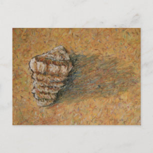 Conch Seashell Sand Beach Postcards