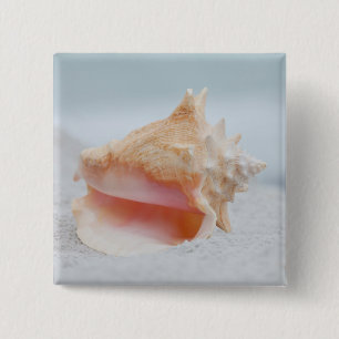 Conch Shell 15 Cm Square Badge