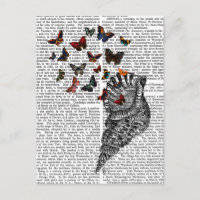 Conch Shell and Butterflies 2