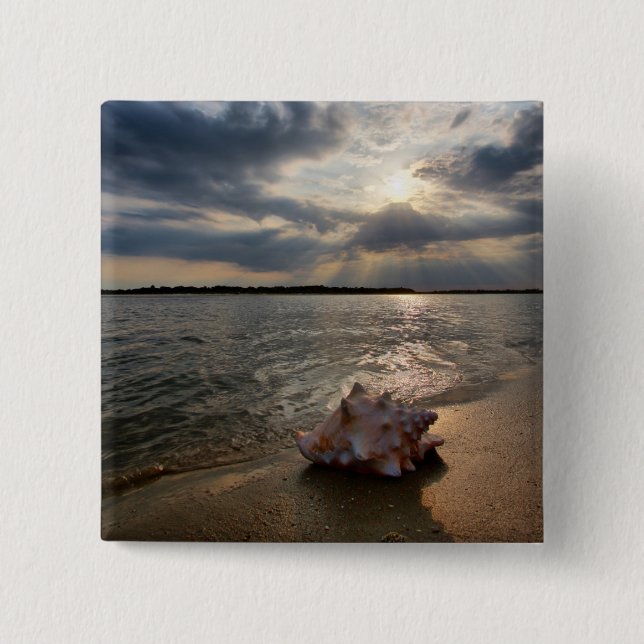 Conch Shell At Beach | St. Augustine, Fl 15 Cm Square Badge (Front)