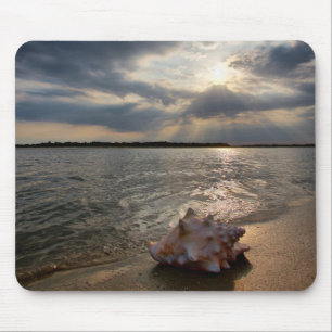 Conch Shell At Beach St. Augustine, Fl Mouse Pad