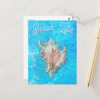 Conch Shell "Beach Life" Postcard