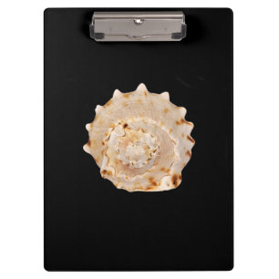 Conch Shell Clipboard