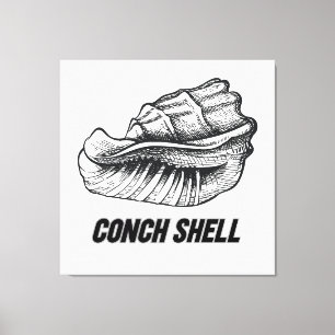 Conch shell design  canvas print