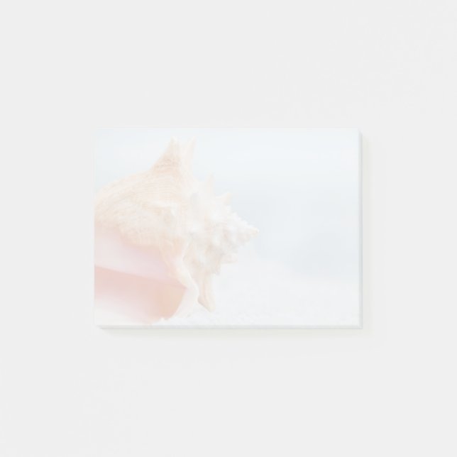 Conch Shell | Florida Post-it Notes (Front)