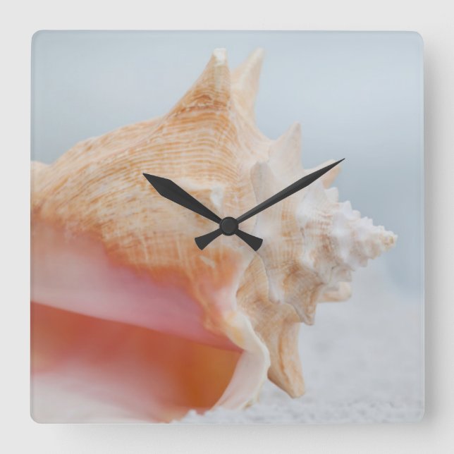 Conch Shell | Florida Square Wall Clock (Front)