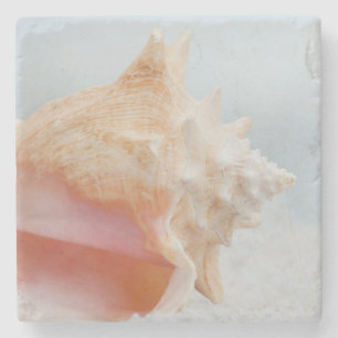 Conch Shell Florida Stone Coaster