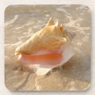 Conch Shell In Sand On Tropical Beach Coaster