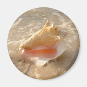Conch Shell In Sand On Tropical Beach Magnet