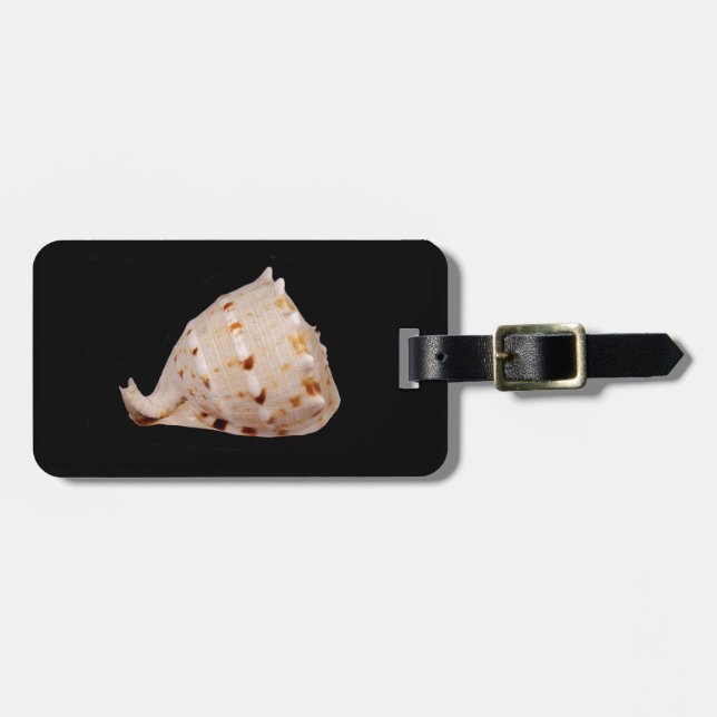 Conch Shell Luggage Tag (Front Horizontal)