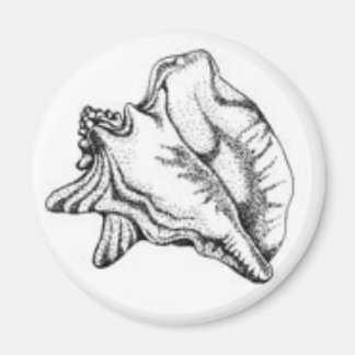 Conch Shell magnet