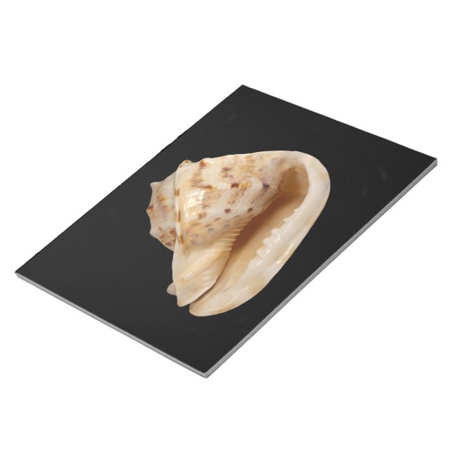 Conch Shell Notepad (Angled)