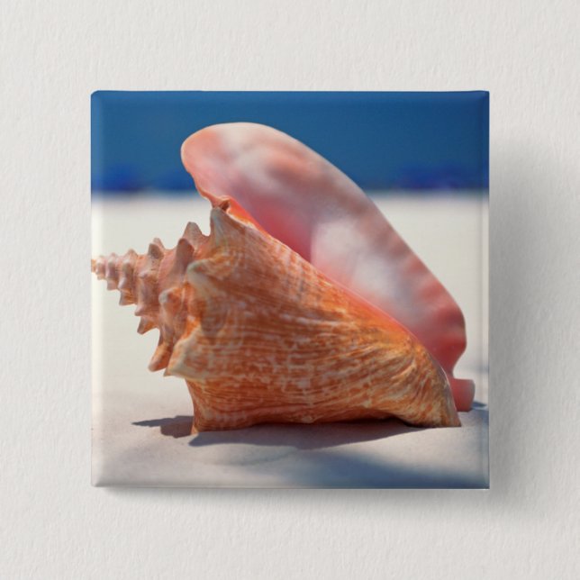 Conch Shell On Beach 2 15 Cm Square Badge (Front)