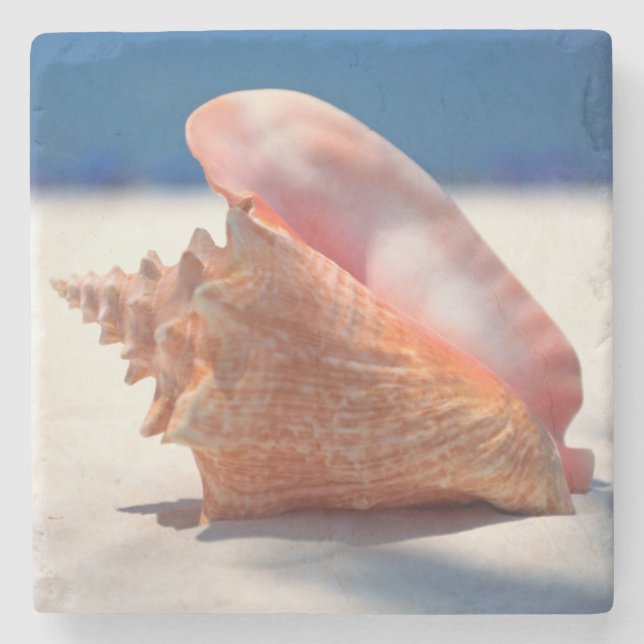Conch Shell On Beach 2 Stone Coaster (Front)