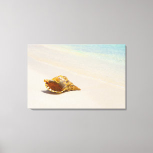 Conch Shell On Beach 3 Canvas Print