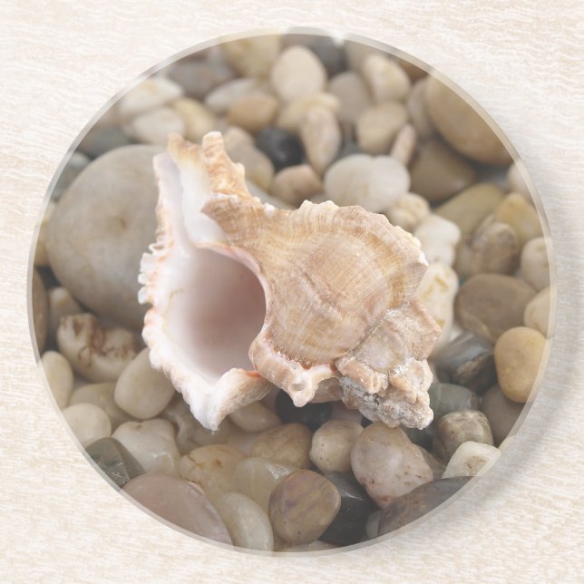 Conch Shell on Pebbles Coaster (Front)