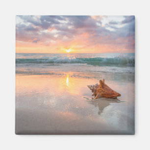 Conch Shell on the Beach Jamaica Magnet