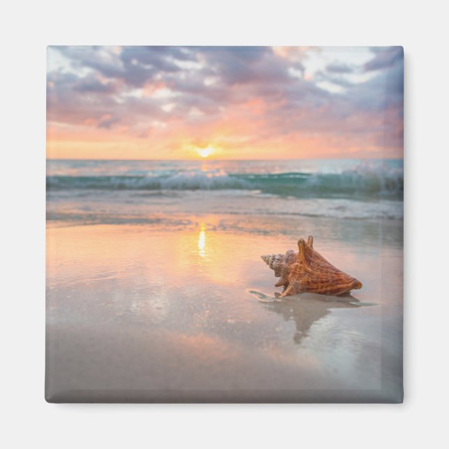 Conch Shell on the Beach | Jamaica Magnet (Front)