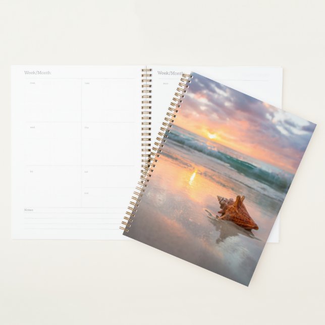 Conch Shell on the Beach | Jamaica Planner (Display)