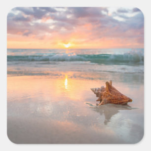 Conch Shell on the Beach   Jamaica Square Sticker