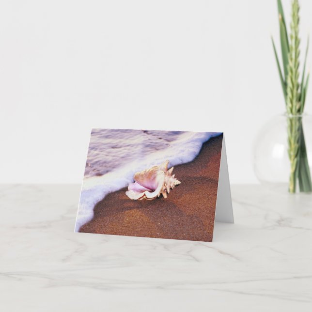Conch Shell on the Beach Note Card (Front)