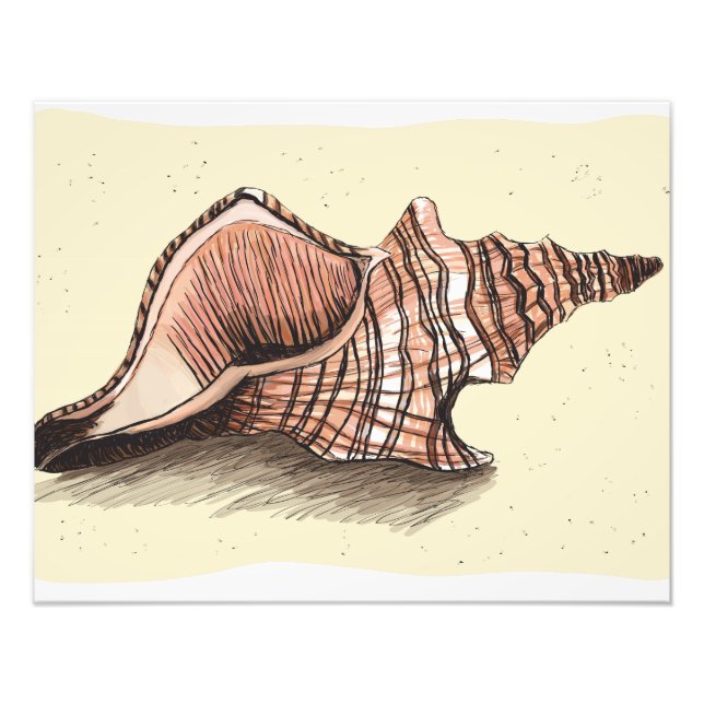 Conch Shell Photo Print (Front)