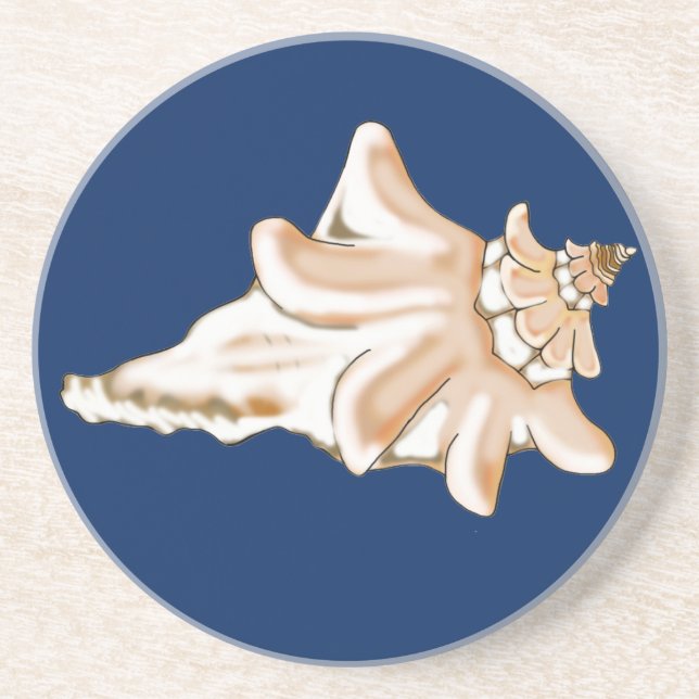 Conch Shell Sandstone Drink Coasters (Front)