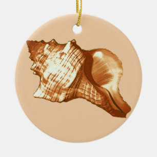 Conch shell sketch - brown, white and tan ceramic tree decoration