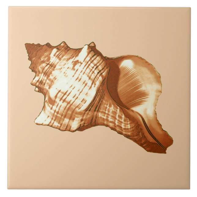 Conch shell sketch - brown, white and tan tile (Front)