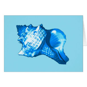 Conch shell sketch - cobalt and sky blue