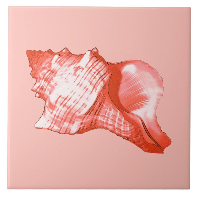 Conch shell sketch - coral, shell pink and white tile (Front)
