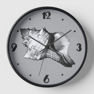 Conch shell sketch - shades of grey and white wall clock