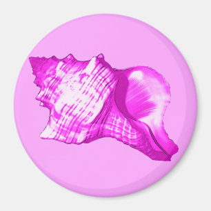 Conch shell sketch - shades of orchid and white magnet