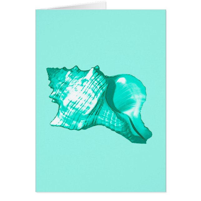 Conch shell sketch - turquoise, white and aqua (Front)