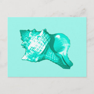 Conch shell sketch - turquoise, white and aqua postcard