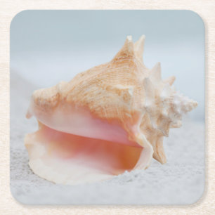 Conch Shell Square Paper Coaster