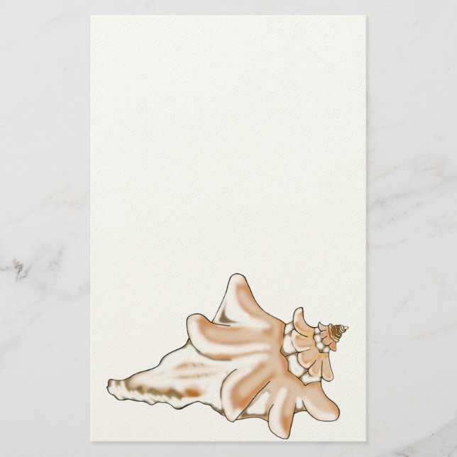 Conch Shell Stationery (Front)