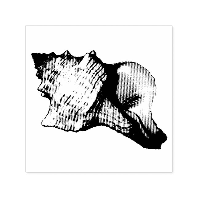 Conch Shell Vintage Illustration Self-inking Stamp (Design)
