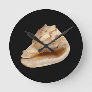 Conch Shell Wall Clock